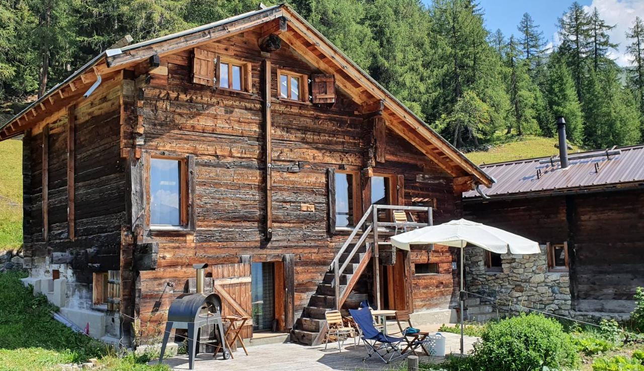 Chalet Biene - Swiss Alp Chalet With Sauna And Jacuzzi Ulrichen Exterior photo