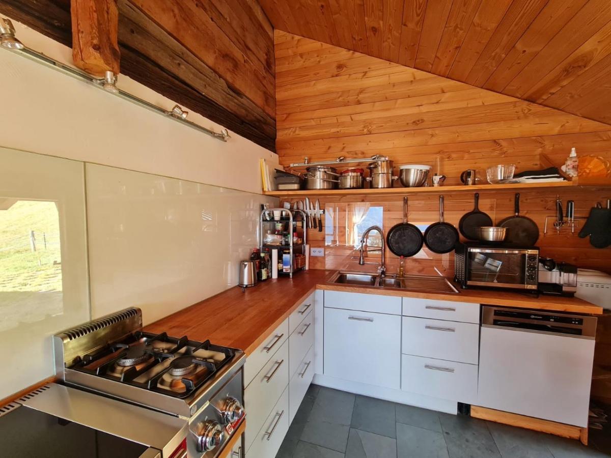 Chalet Biene - Swiss Alp Chalet With Sauna And Jacuzzi Ulrichen Exterior photo